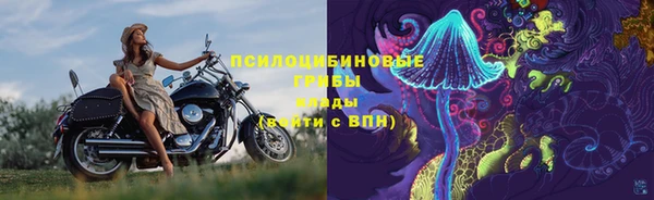 хмурый Алексеевка