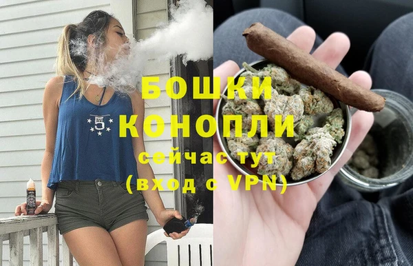 ALPHA PVP Каменногорск