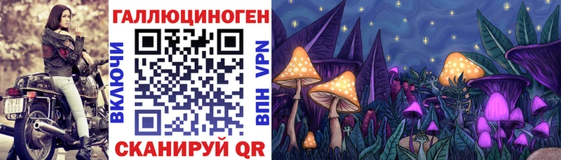 Псилоцибиновые грибы мухоморы блэк спрут сайт Щигры дарнет шоп