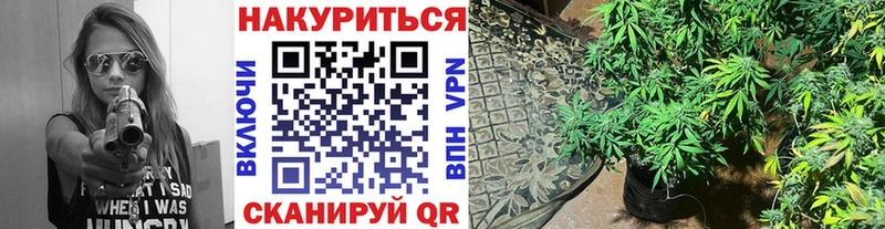 ОМГ ОМГ сайт  хочу   Щигры  Бошки Шишки THC 21% 